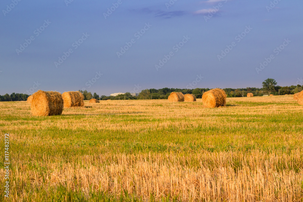 Dry hay stacks on sunset field during harvest time