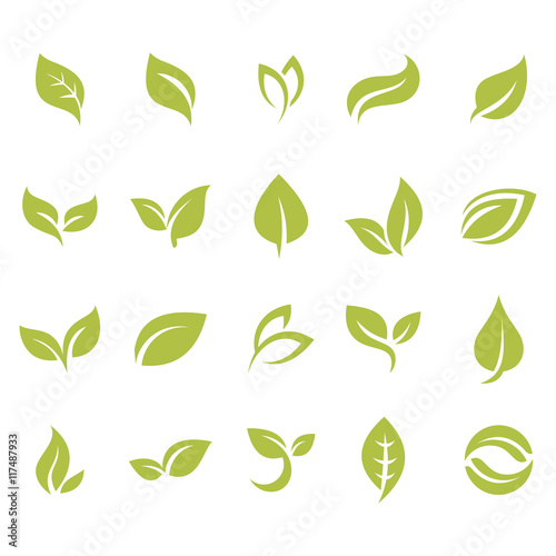 Collection of Simple Leaf Icon Package