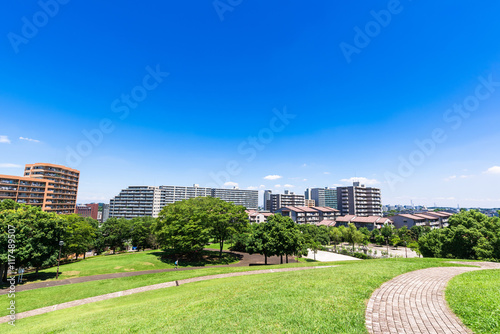 青空が広がる住宅地