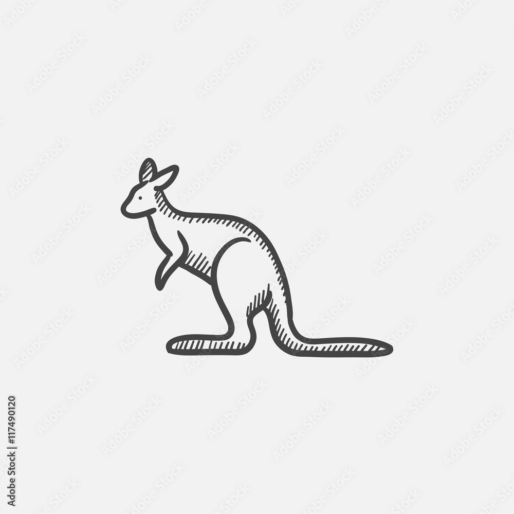 Fototapeta premium Kangaroo sketch icon.