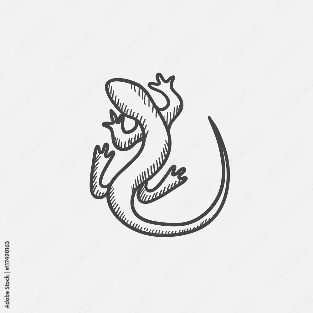 Fototapeta premium Lizard sketch icon.