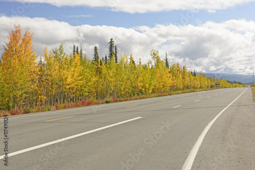Fall Colors Along the Alaska Highway