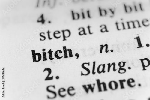 Bitch