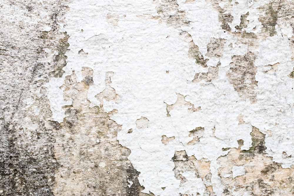 Obraz premium white concrete wall texture