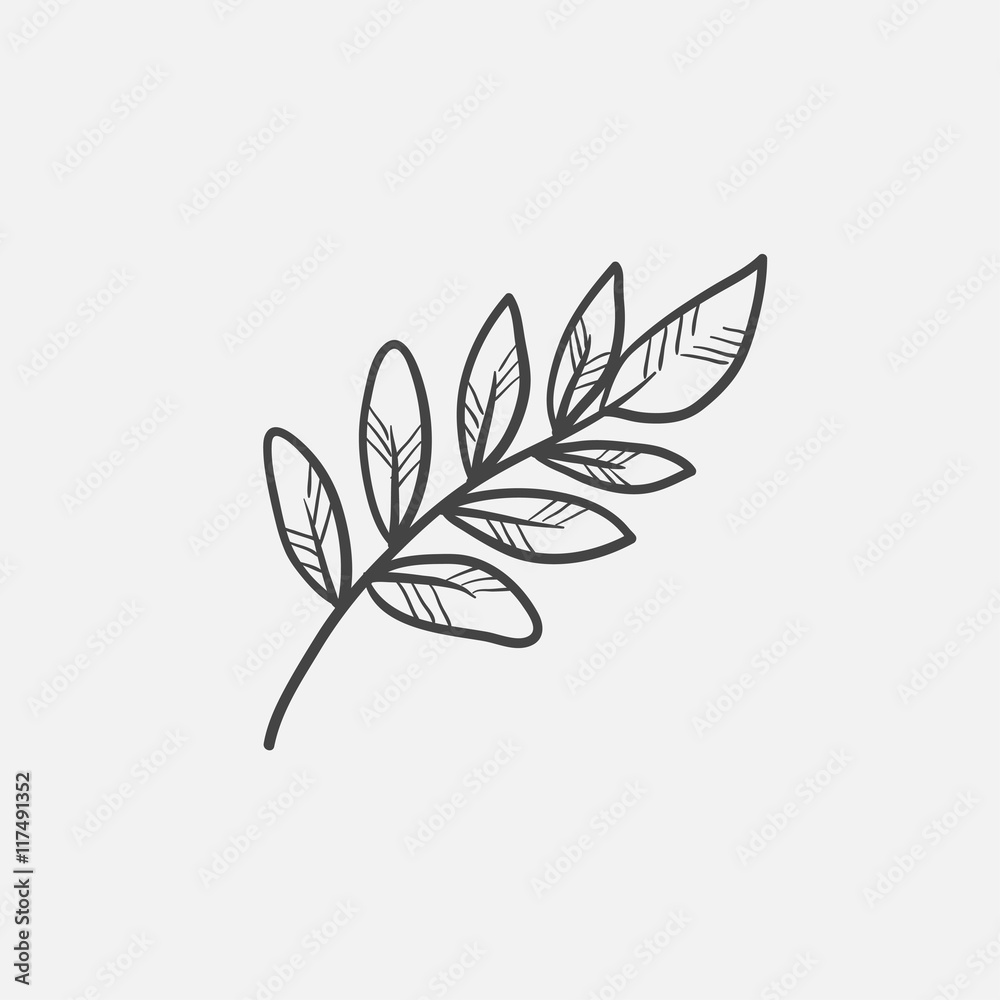 Palm branch sketch icon.