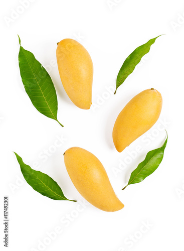 Yellow mango and leaf on white background.
