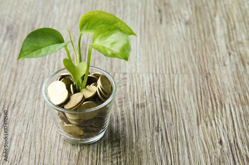 Business concept of financial growth with plant growing out of glass of money