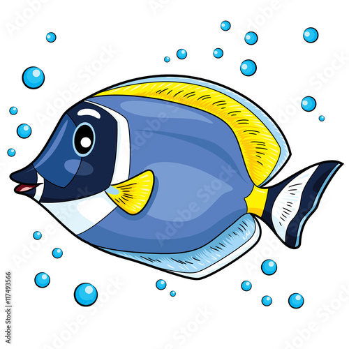 Blue Tang Fish Cartoon
Illustration of blue tang fish.