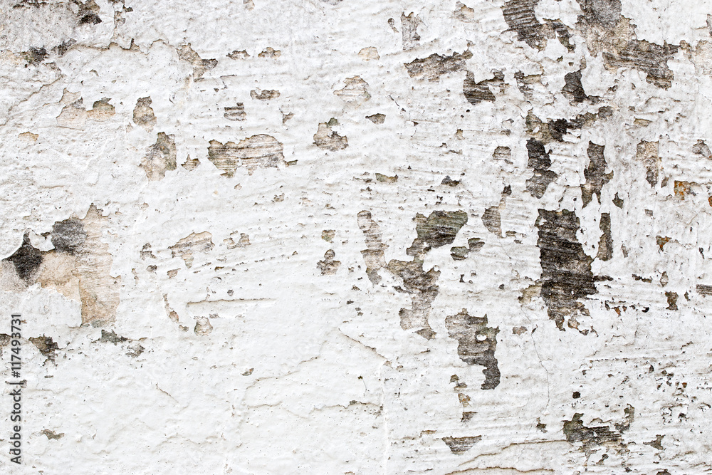 Fototapeta premium white concrete wall texture