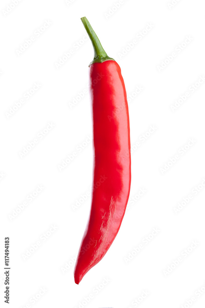 red chili or chilli cayenne pepper isolated on white background. red chili or chilli cayenne pepper isolated on white background.