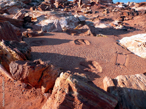 Obraz na płótnie Dinosaur footprints caste in concrete in Gantheaume Point, in Broome, Western Au