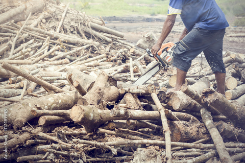 Man chopping wood using a chainsaw. Cut a piece of wood as fuel.