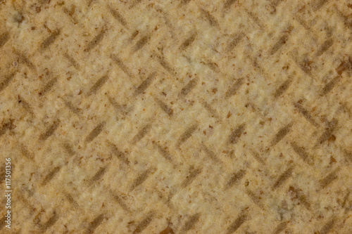 Wheat Digestive Biscuit Close Up View