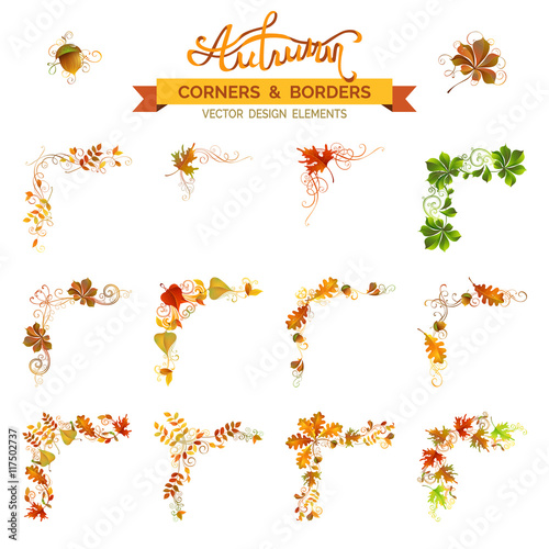 Vector set of autumn leaves design elements.