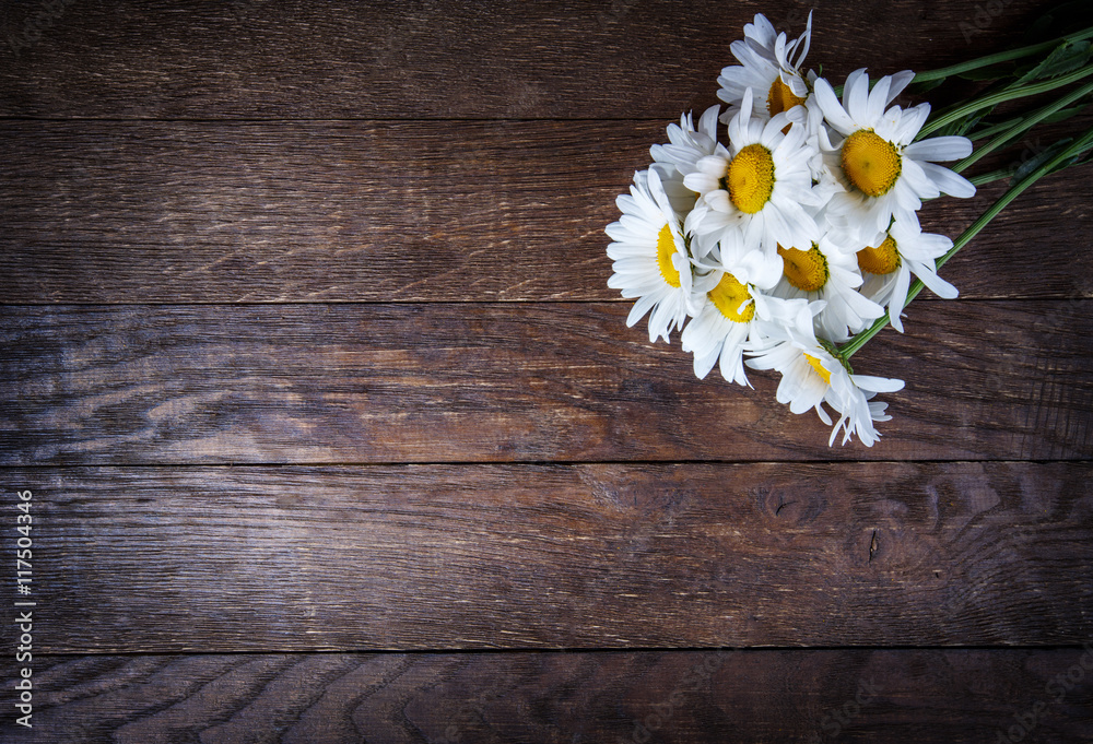 Obraz premium chamomile flowers on wooden table background