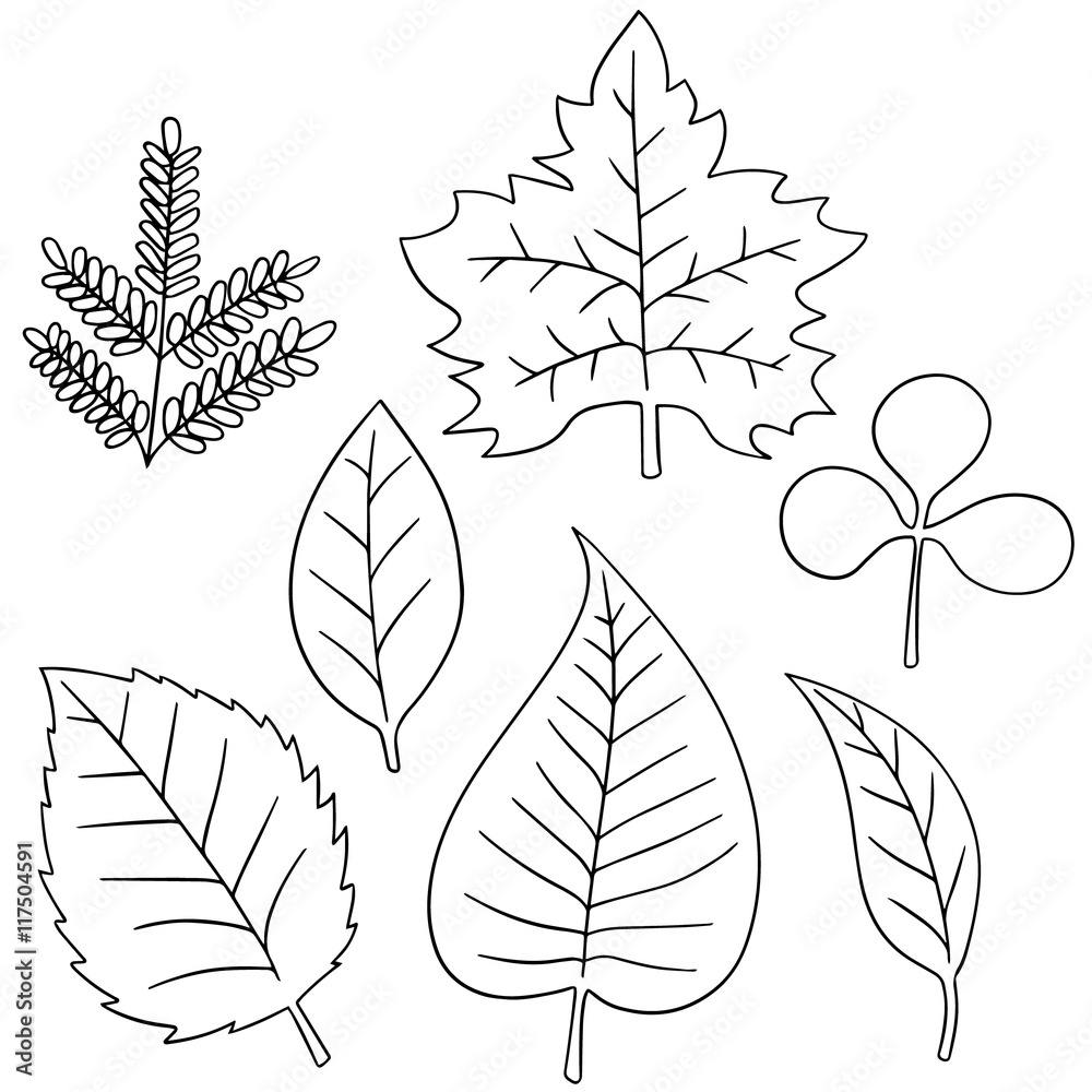 vector set of leaves