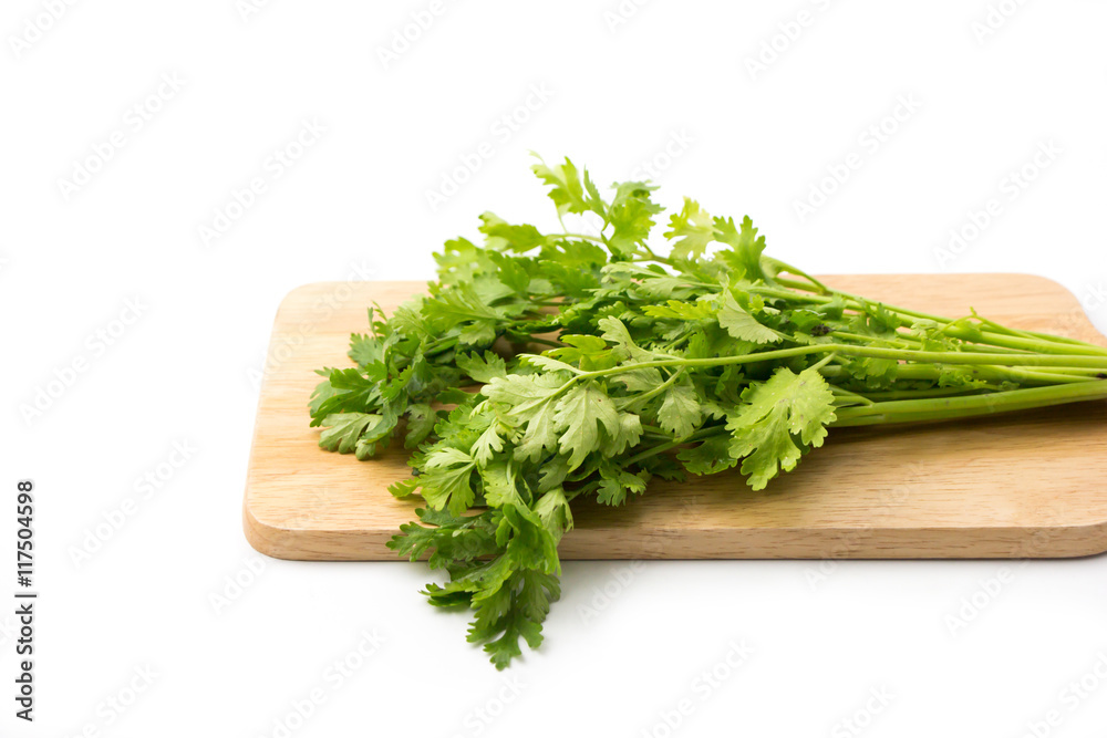 Coriander on wooden block white background Coriander on wooden block white background