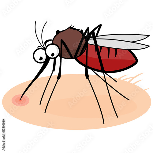 Cartoon mosquito sucking blood. Vector illustration