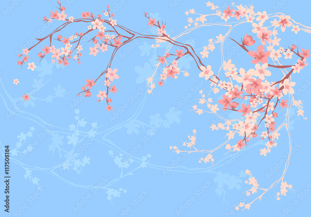 Fototapeta premium spring blossom pink and blue background
