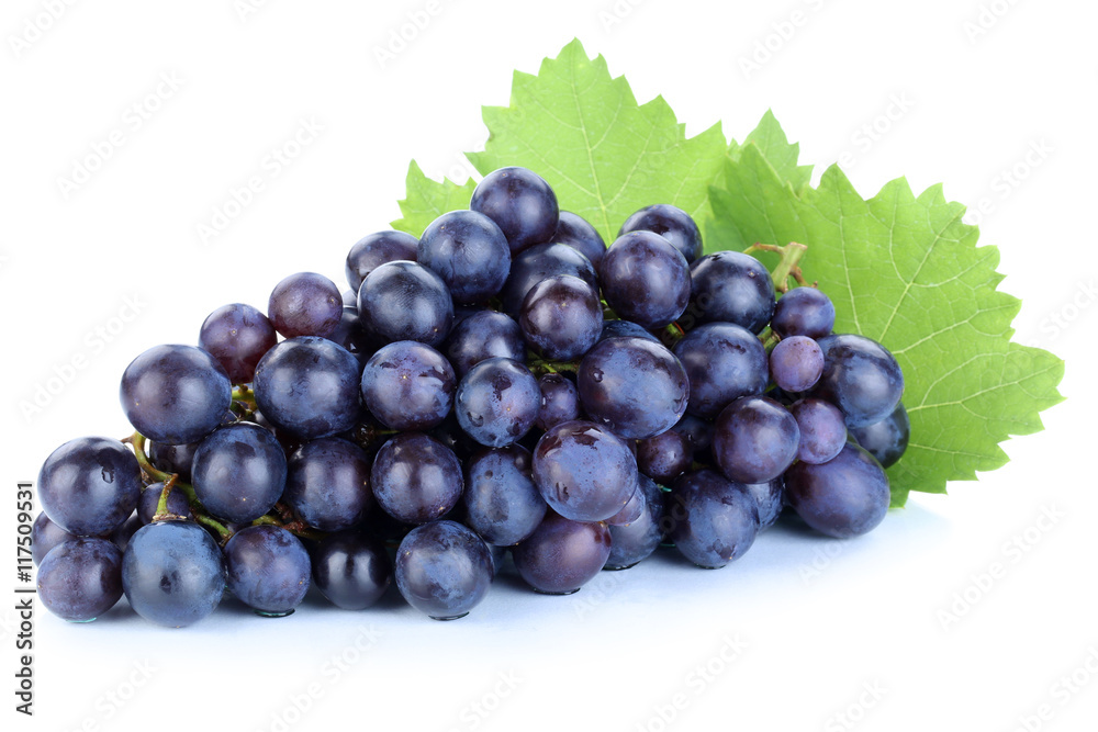 Trauben Weintrauben blau Früchte Obst Freisteller freigestellt