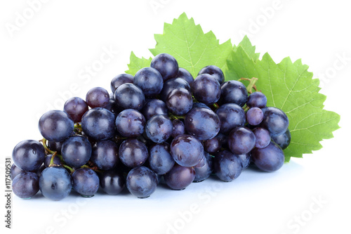 Trauben Weintrauben blau Früchte Obst Freisteller freigestellt