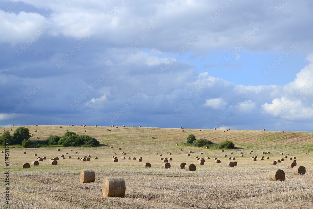 Harvested field with straw bales and blue sky