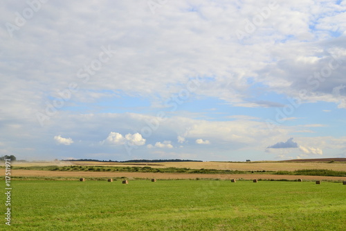 Field in Latvia