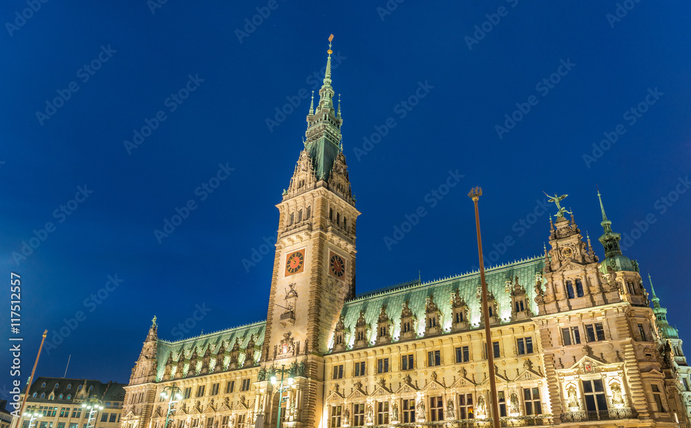 Night view of Hamburg Town Hall. City Rathaus magnificence