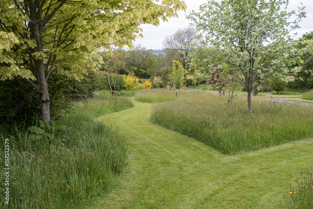 Mowed paths through a garden with grass and trees