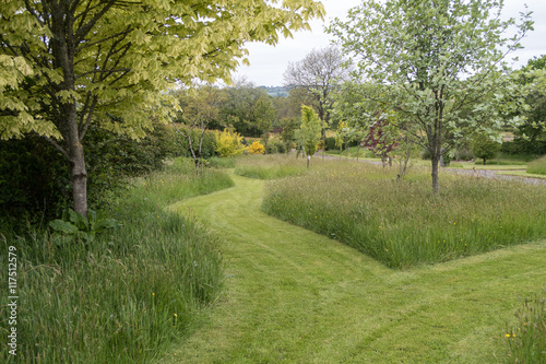 Mowed paths through a garden with grass and trees