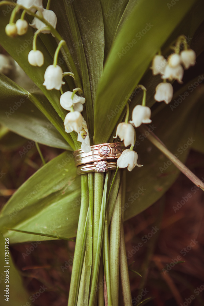 Fototapeta premium wedding rings