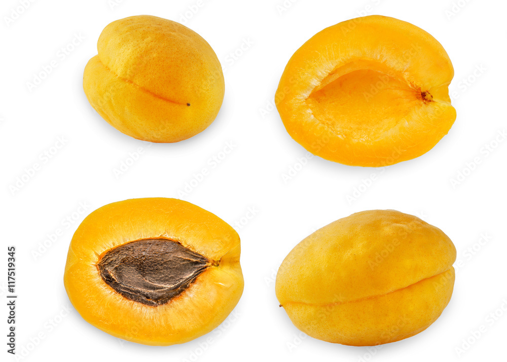 Collage of apricots on the white background Collage of apricots on the white background