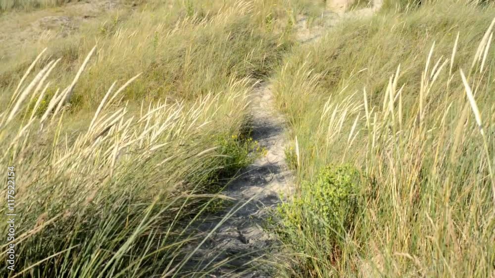 Overview Dune Perroquet France Overview Dune Perroquet France