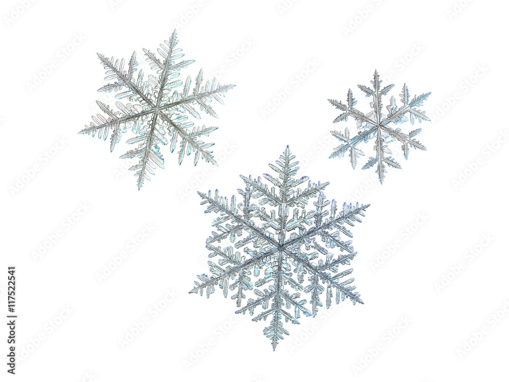 3 snowflakes, isolated on white background. This set created from three macro photos of real snow crystals (large fernlike dendrites). 3 snowflakes, isolated on white background. This set created from three macro photos of real snow crystals (large fernlike dendrites).