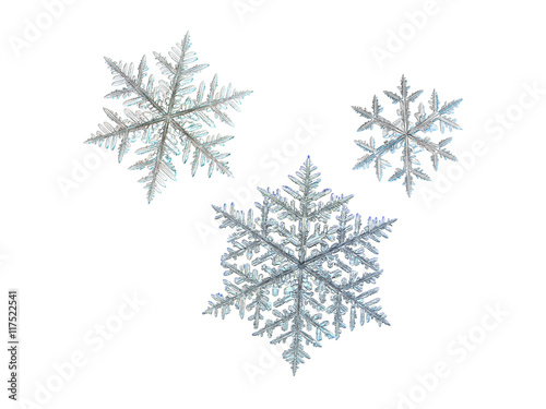 3 snowflakes, isolated on white background. This set created from three macro photos of real snow crystals (large fernlike dendrites).