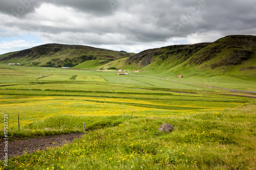 View at Icelandic plains during summertime