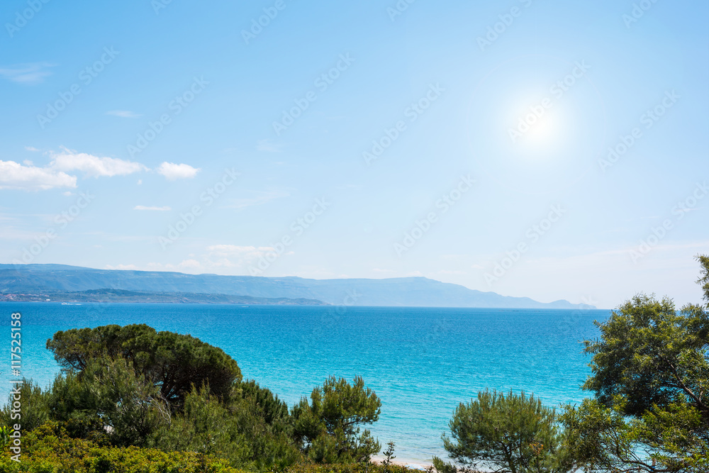 pine trees and blue sea in Alghero coastline