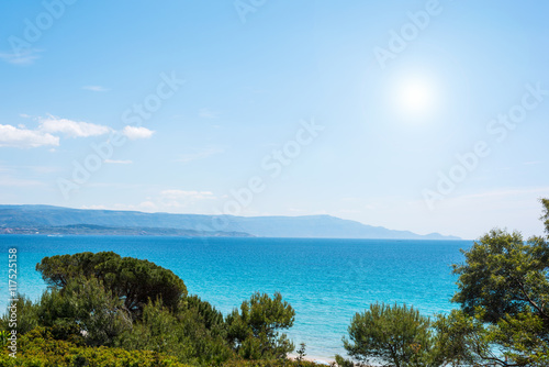 pine trees and blue sea in Alghero coastline © Gabriele Maltinti
