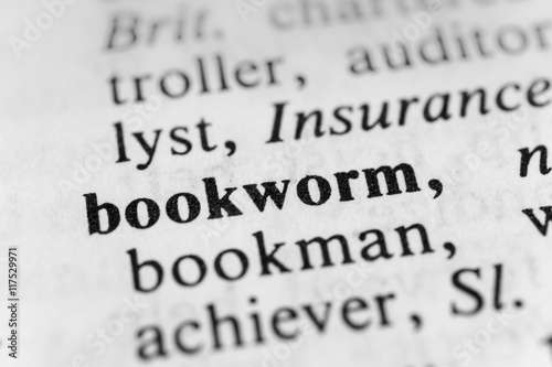 Slika na platnu Bookworm