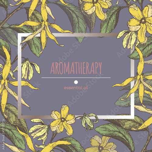 Color frame template with ylang sketch.