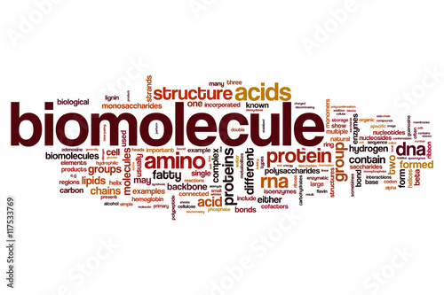 Biomolecule word cloud concept photo