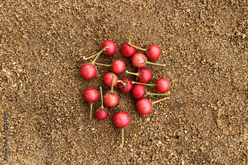 Flacourtia fruit on sand photo