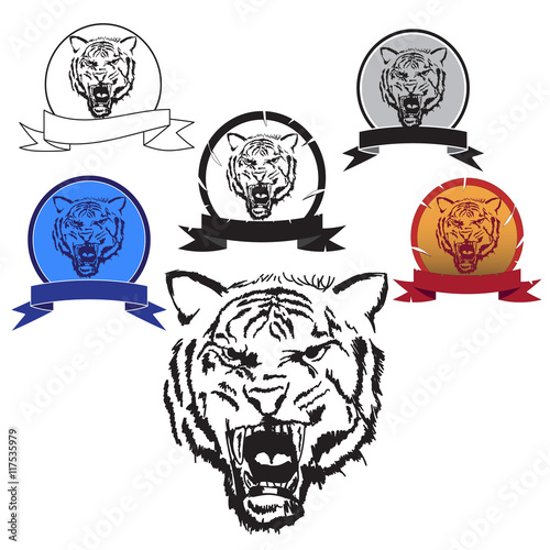 Fototapeta Naklejka Na Ścianę i Meble -  Tiger head image