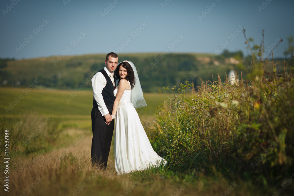 Happy wedding couple stands on the field before high grass Happy wedding couple stands on the field before high grass