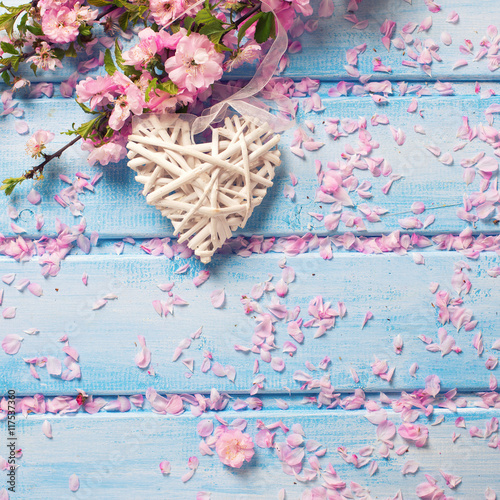 Pink sakura flowers and white decorative heart on blue wooden