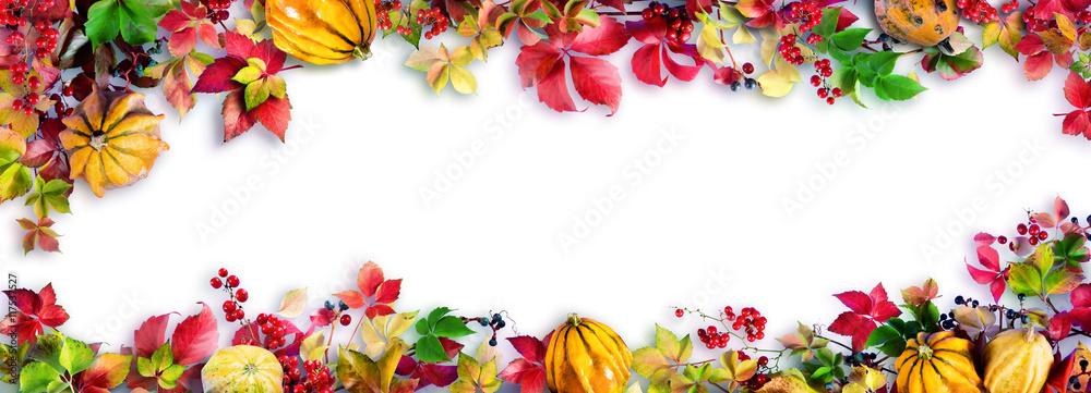 Colorful Fall Leaves On White - Autumn Decorative Border - obrazy, fototapety, plakaty 