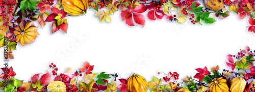 Colorful Fall Leaves On White - Autumn Decorative Border © Romolo Tavani