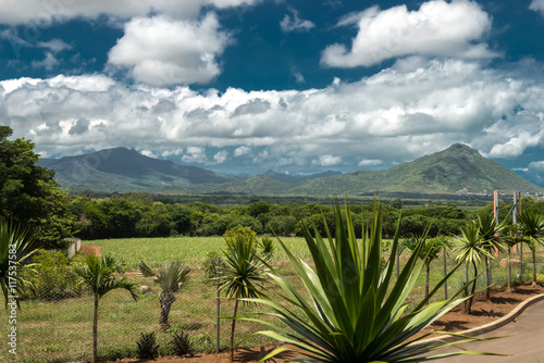 Casela Park landscape Mauritius