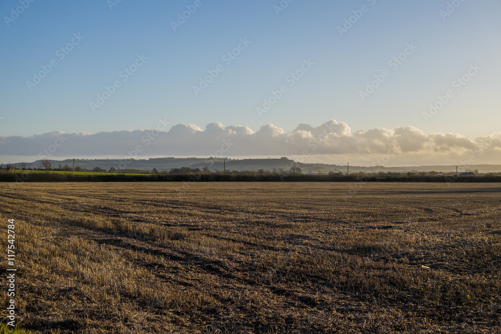 farmland