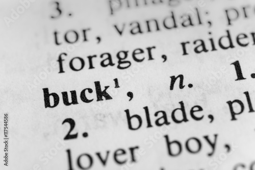 Canvas-taulu Buck